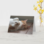 Katzenliebhaber Karte (Gelbe Blume)
