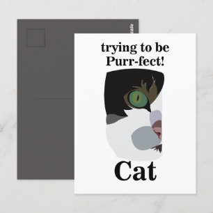Katzenliebhaber Lustig Postkarte
