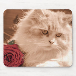 Katzenliebhaber Mousepad