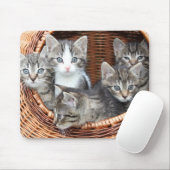 Katzenliebhaber Mousepad (Mit Mouse)