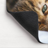 Katzenliebhaber Mousepad (Ecke)