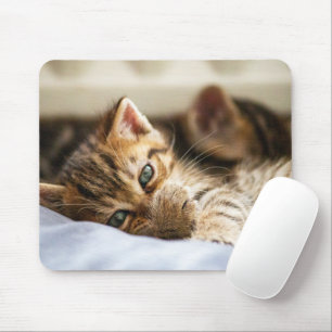 Katzenliebhaber Mousepad