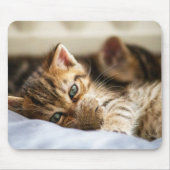 Katzenliebhaber Mousepad (Vorne)