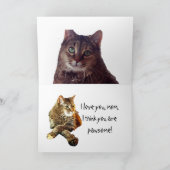 KATZENLIEBHABER MUTTERTAG  KARTE (Innenseite)