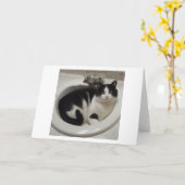 Katzenliebhaberfreude Karte (Gelbe Blume)