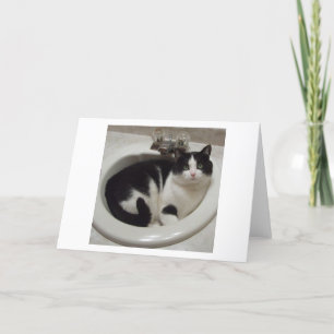 Katzenliebhaberfreude Karte
