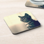 Katzenliebhabergeschenke, themed Geschenke der Untersetzer (Linke Seite)