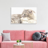 Katzenliegen Leinwanddruck (Insitu (Wohnzimmer))