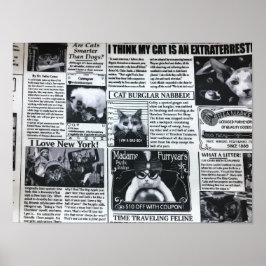 Katzenmagazin Poster