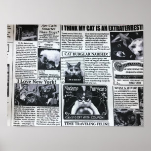 Katzenmagazin Poster