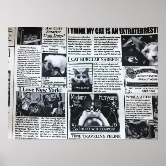 Katzenmagazin Poster (Vorne)