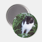 Katzenmagnet Magnet (Vorderseite/Rückseite)