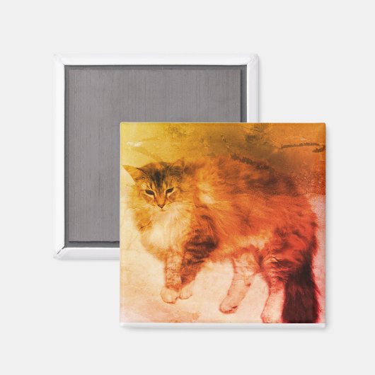 Katzenmagnet Magnet (Vorderseite/Rückseite)