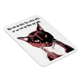 Katzenmagnet Magnet (Rechte Seite)