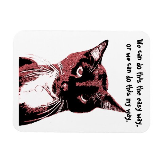 Katzenmagnet Magnet (Horizontal)