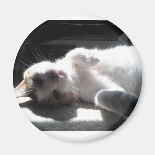 Katzenmagnet Magnet (Vorne)