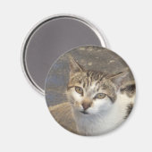 Katzenmagnet Magnet (Vorderseite/Rückseite)