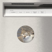 Katzenmagnet Magnet (In Situ (Geschirrspüler))