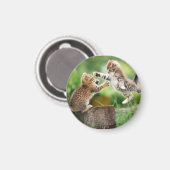 Katzenmagnet Magnet (Vorderseite/Rückseite)