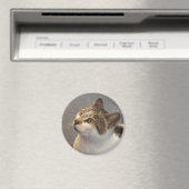 Katzenmagnet Magnet (In Situ (Geschirrspüler))