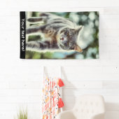 Katzenmalerei Banner (Insitu)