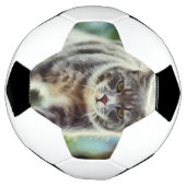 Katzenmalerei Fußball (Gedreht)