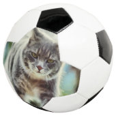 Katzenmalerei Fußball (Dreiviertel)