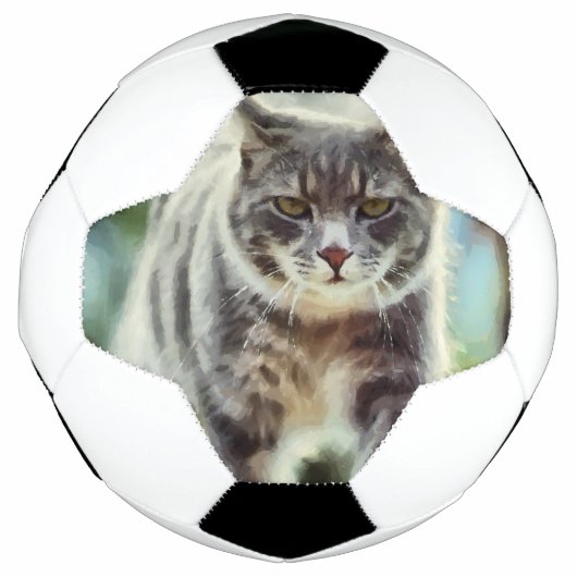 Katzenmalerei Fußball (Vorderseite)