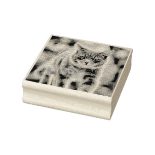 Katzenmalerei Gummistempel