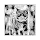 Katzenmalerei Gummistempel (Prägung)