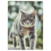 Katzenmalerei Klemmbrett (Rückseite)