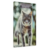 Katzenmalerei Klemmbrett (Rechts)