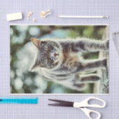 Katzenmalerei Seidenpapier (Handwerk)