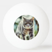 Katzenmalerei Tischtennisball (Vorderseite)