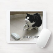 KatzenMausunterlage Mousepad (Mit Mouse)