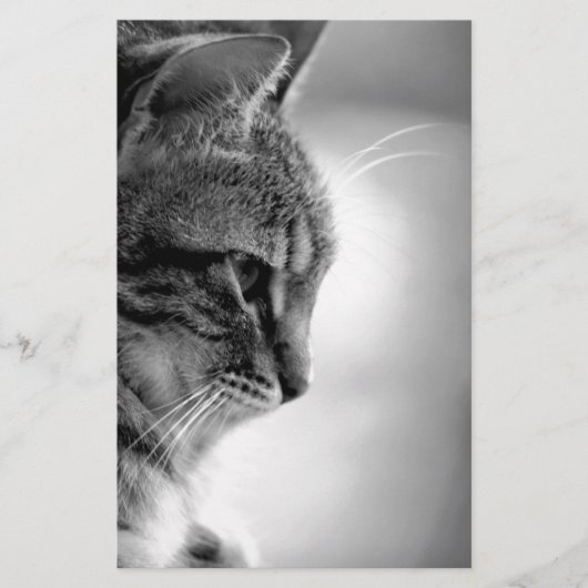 Katzenmeditation Schwarz/Weiß Briefpapier (Vorderseite)