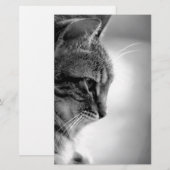 Katzenmeditation Schwarz/Weiß Briefpapier (Vorne/Hinten)