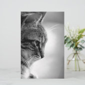 Katzenmeditation Schwarz/Weiß Briefpapier (Stehend Vorderseite)