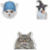 Katzenmeme Aufkleber (Vorderseite)