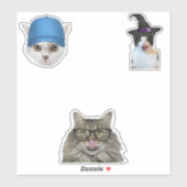 Katzenmeme Aufkleber (Blatt)