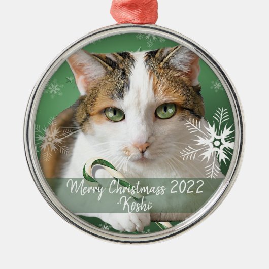 Katzenmetall Weihnachtsdekor Ornament Aus Metall (Vorne)