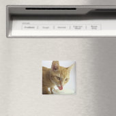 Katzenmilch Magnet (In Situ (Geschirrspüler))
