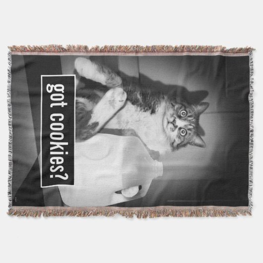 Katzenmilch von Jug Decke (Vorderseite)