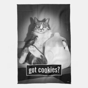 Katzenmilch von Jug Geschirrtuch