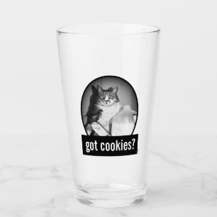 Katzenmilch von Jug Glas