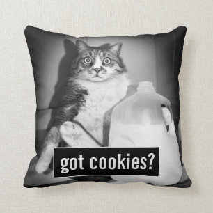 Katzenmilch von Jug Kissen