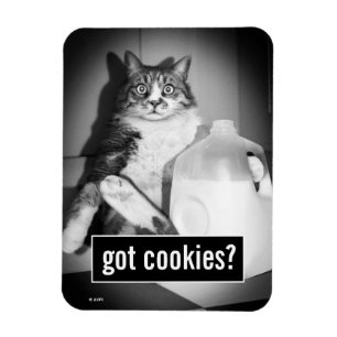 Katzenmilch von Jug Magnet