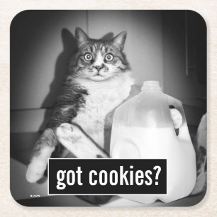 Katzenmilch von Jug Rechteckiger Pappuntersetzer