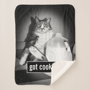 Katzenmilch von Jug Sherpadecke