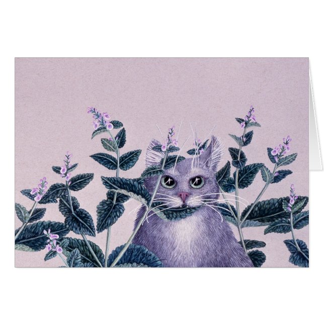 Katzenminze, durch Darlene P. Coltrain (Vorderseite (Horizontal))